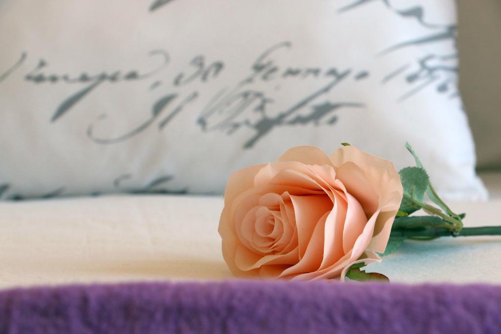 Blue Rose Leilighet Trogir Eksteriør bilde